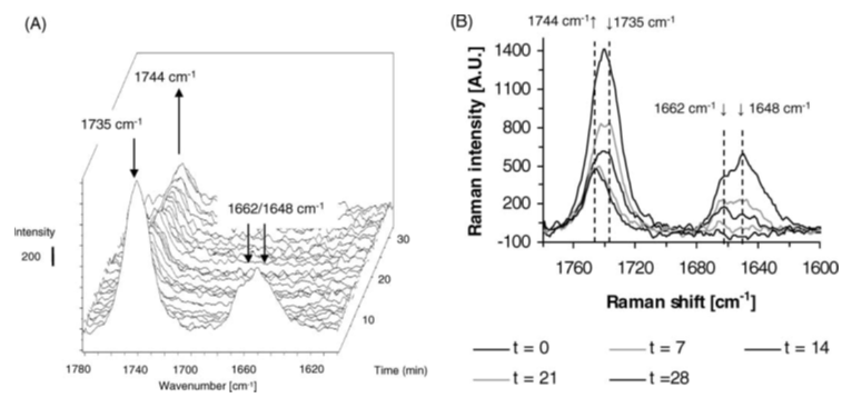 Catalytic Reaction Monitoring Service