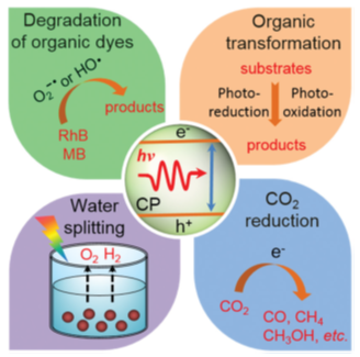 Polymer Photocatalysts