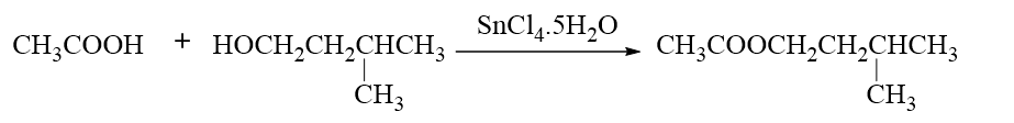  Tin Catalysts