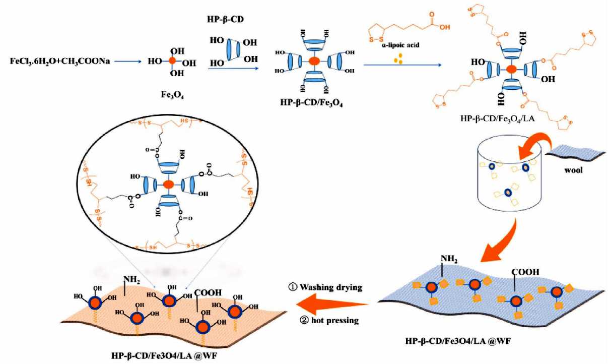 Enhanced coloration and functionality of wool fabric by Hydroxypropyl-β-cyclodextrin coated magnetic nanoparticles