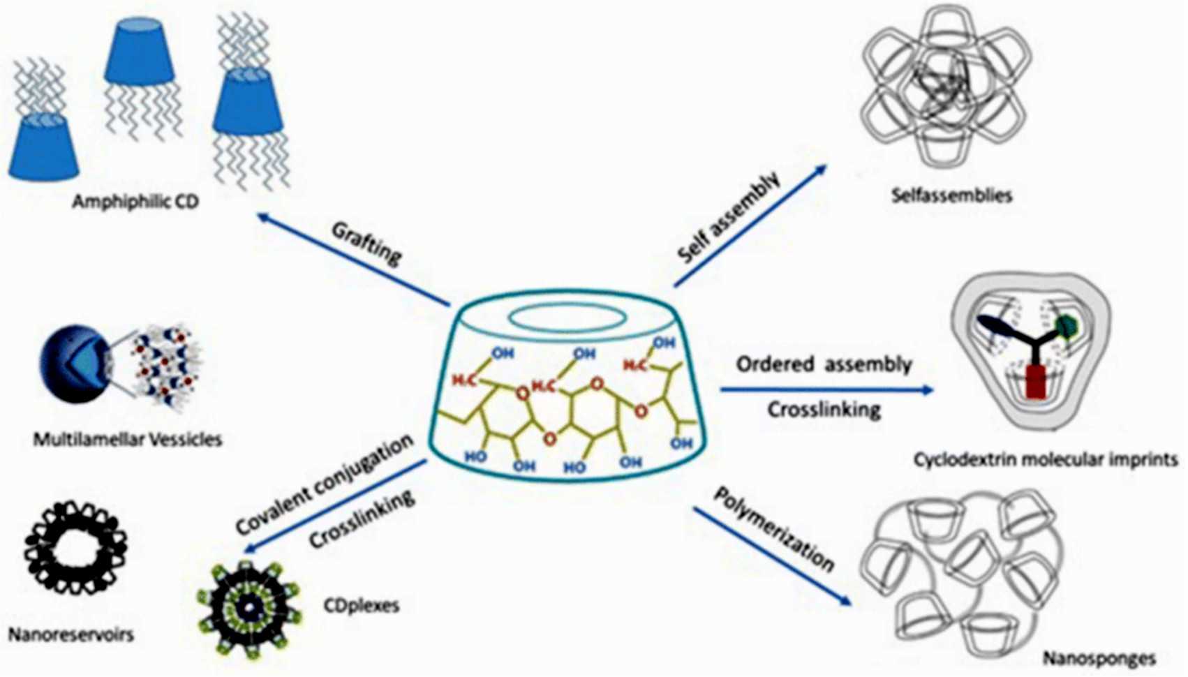 Fig.4 Cyclodextrin used in drug delivery field