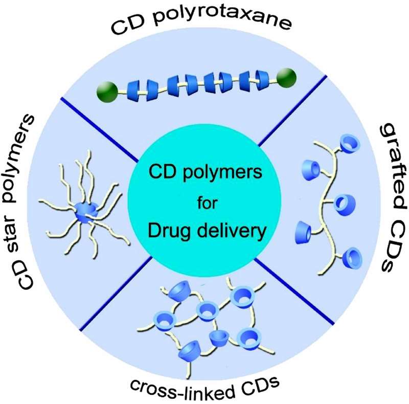 Fig.1 Four types of CD polymers based on structure similarities: CD polyrotaxane, grafted CDs, cross-linked CDs, and CD star polymers.