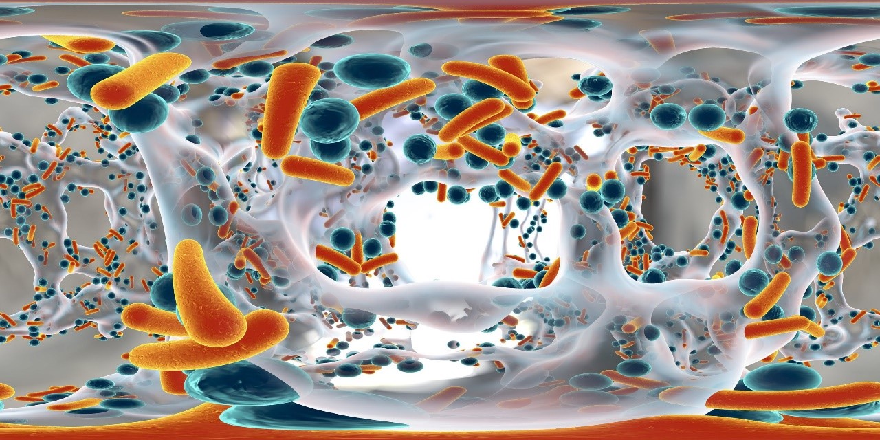 Insecticides Residue Testing Service
