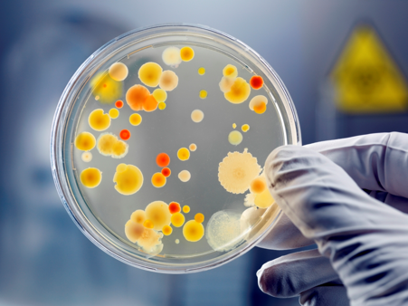 Food Microbiological Testing