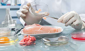 Nutritional Analysis Service