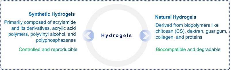 Fig.1 Types of Hydrogels