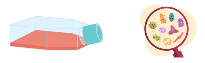 Biological Property Analysis of Hydrogels
