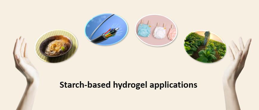Starch-Based Hydrogels