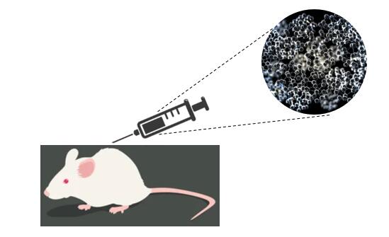 Metal compound-based nanozymes used for inflammation therapy.