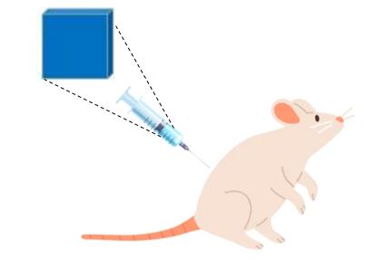 Prussian blue nanozymes used in treating inflammation in models of LPS-induced mice hepatitis model.