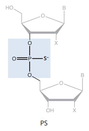 The chemical structure of phosphorothioate (PS).