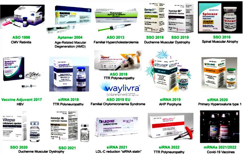 Fig.1 Approved oligonucleotide drugs and mRNA vaccines