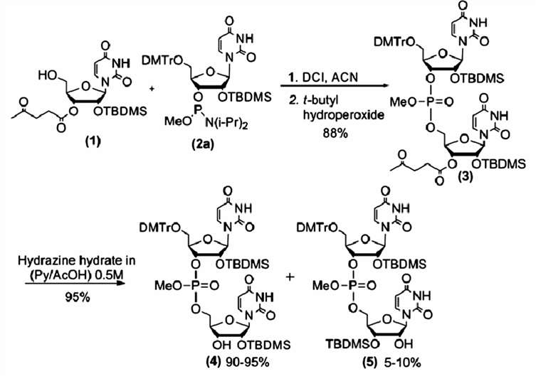 Fig.4 Dimer phosphoramidite synthesis.