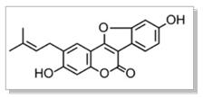 Skeletal structure of psoralidin