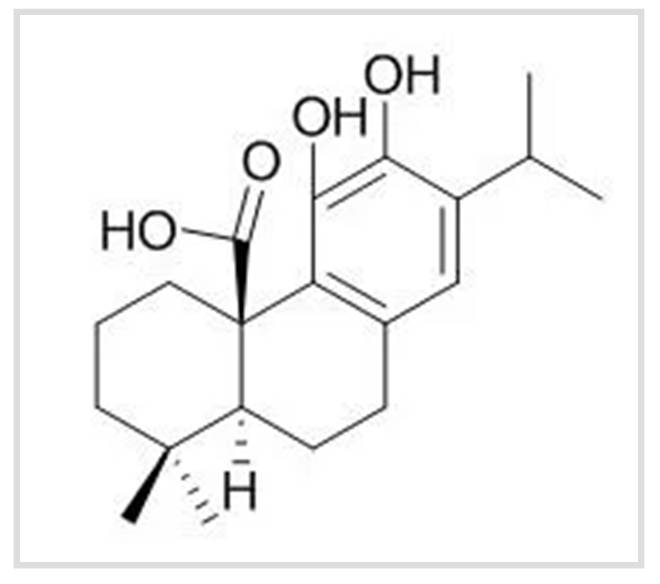 Molecular structure of carnosic acid