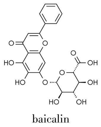 Molecular structure of baicalin
