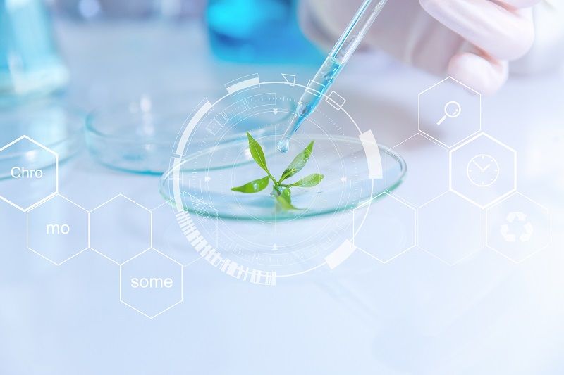 Active Ingredient Analysis