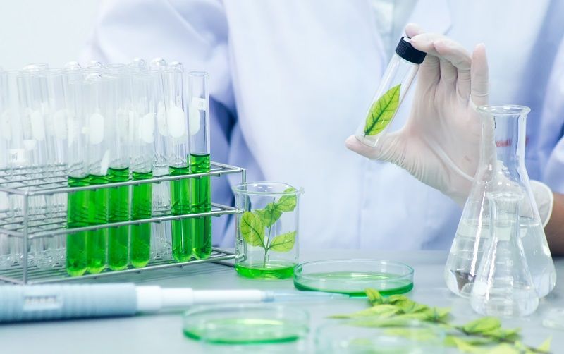 Comprehensive Testing