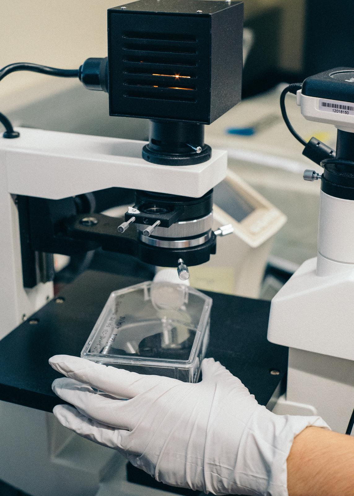 analysis of polychlorinated biphenyls in soil