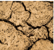 Soil