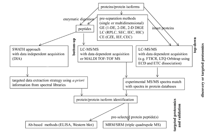 Protein Isoforms Analysis