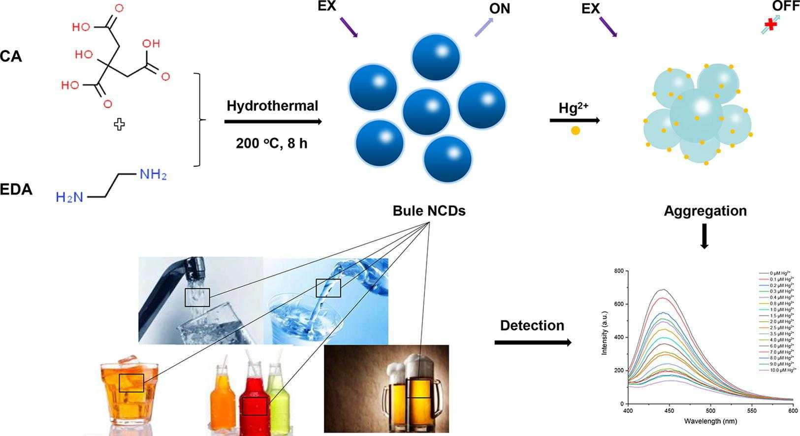 Selective Detection of Hg2+ in Beverages